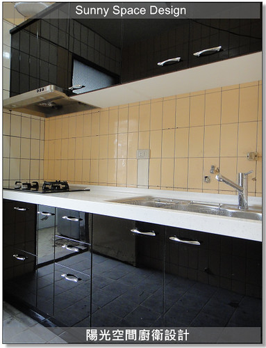 DS-850P 防蟑大水槽與側拉籃