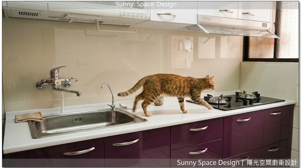 新莊後港一路孝親廚房 × 上白下紫水晶門板 × 喜特麗三機｜陽光空間精品廚具